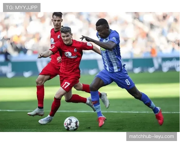 尼斯队控球制胜,战术革新闪耀赛场 尼斯队控球制胜,战术革新闪耀赛场